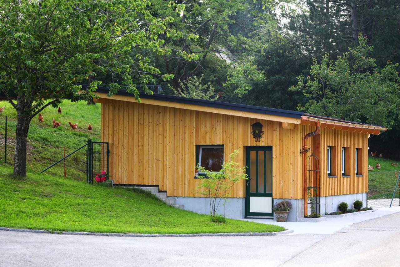 Attwengerhof Apartment Traunkirchen Exterior photo